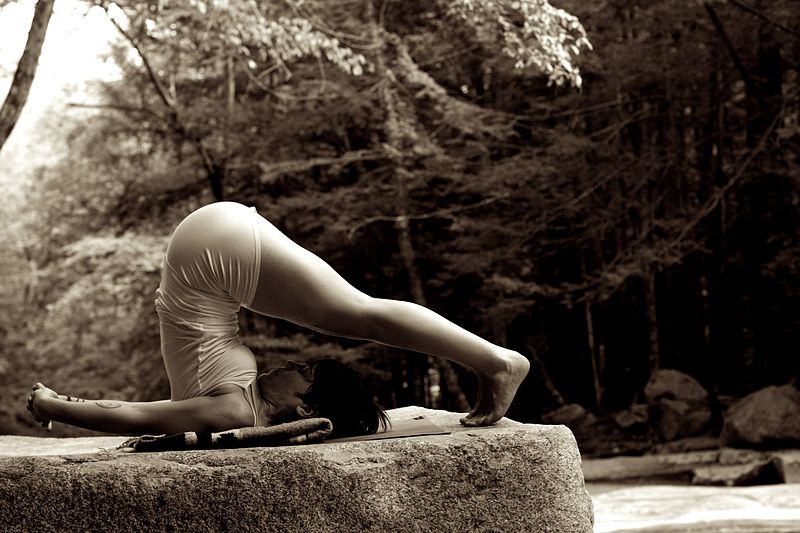 File:Stickney Brook Yoga 155 - Version 2.jpg