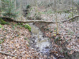 Middle reaches of the Stoffelbach as seen from a small wooden bridge in November