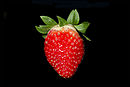 Strawberry BNC.jpg