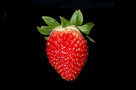 Strawberry BNC.jpg