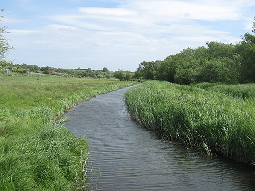 Stream near Westbere Marshes - geograph.org.uk - 2424350