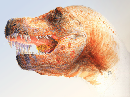 Tập_tin:T._rex_infection.png