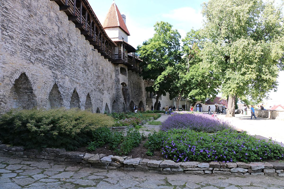 Сад датского короля в Таллине карта