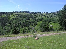 El parque nacional de Tara.