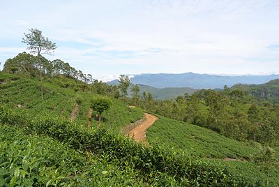 Badulla District