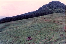 Terrace farming at Kalikavu (photographed in 2007) Terrace farming-scene from KALIKAVU, WANDOOR (2094228200).jpg