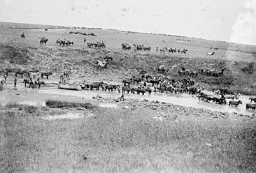 The Second Boer War, 1899-1902 Q72297.jpg