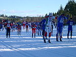 Längdskidåkning.