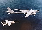 Tomcat escorts Bear