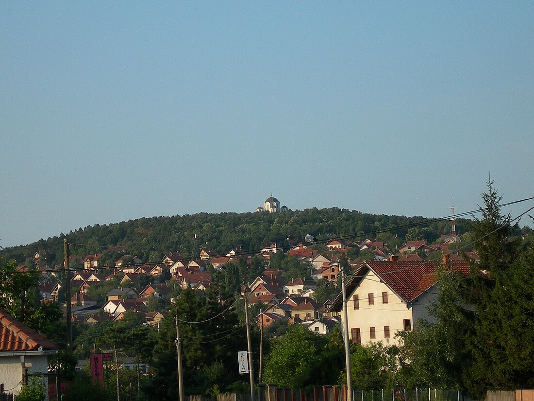 Topola (miasteczko)