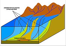Turbidites are deposited in the deep ocean troughs below the continental shelf, or similar structures in deep lakes, by underwater avalanches which slide down the steep slopes of the continental shelf edge. When the material comes to rest in the ocean trough, it is the sand and other coarse material which settles first followed by mud and eventually the very fine particulate matter. It is this sequence of deposition that creates the Bouma sequences that characterize these rocks. Turbidite formation.jpg