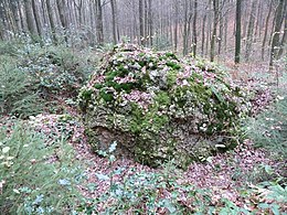 Vaals-Geologisch monument Sterrenstenen Vijlenerbosch (5).JPG