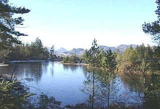 <span class="mw-page-title-main">Gwydir Forest</span> Forest in Snowdonia National Park, Wales