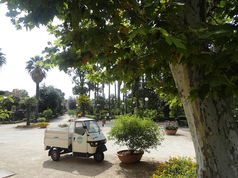 File:Villa Giulia garden truck, Palermo, Sicily, Italy (9458373266).jpg