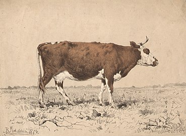 «Корова», 1874, литография