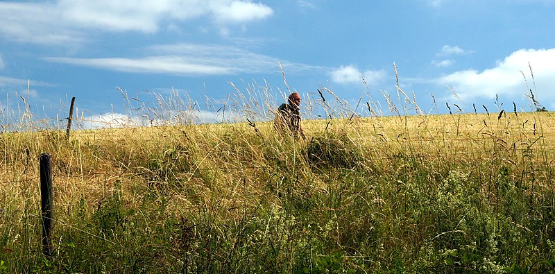 File:Wanderer bei der Burg Olbrück.JPG