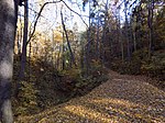 WetterzeubeWaldweg.JPG