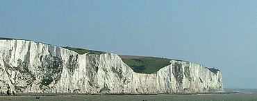 The chalk of the White Cliffs of Dover is almost entirely formed from fossil skeleton remains (coccoliths), biomineralized by planktonic microorganisms (coccolithophores) White cliffs of dover 09 2004.jpg