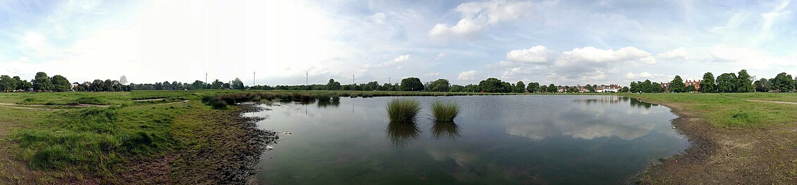 WimbledonCommon5.jpg