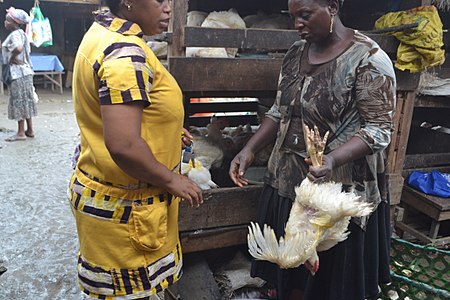 Vendeuse de poulets entrain de proposer un poulet à une cliente. Les poulets sont vendus vivants. C'est le gage que le poulet était en bonne santé et donc que la viande est de bonne qualité.