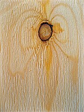 Wood knot in vertical section Wood Knot.JPG