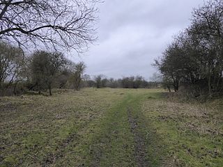 <span class="mw-page-title-main">Woodford Halse Nature Reserve</span> Nature reserve in the United Kingdom