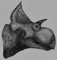 Yehuecauhceratops