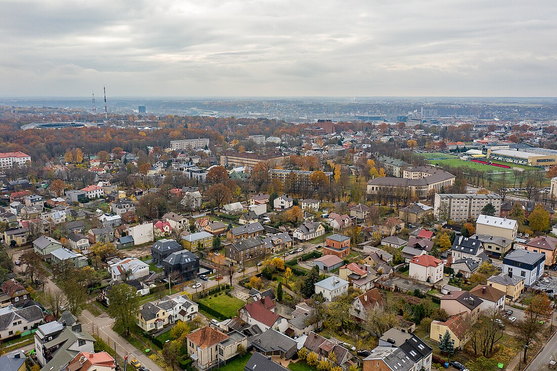 Žaliakalnis