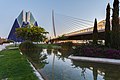 * Nomination The Agora and Azud del Oro bridge, City of Arts and Sciences, Valencia, Spain --Poco a poco 11:35, 18 September 2019 (UTC) * Promotion  Support Good quality. --Aristeas 12:43, 18 September 2019 (UTC)