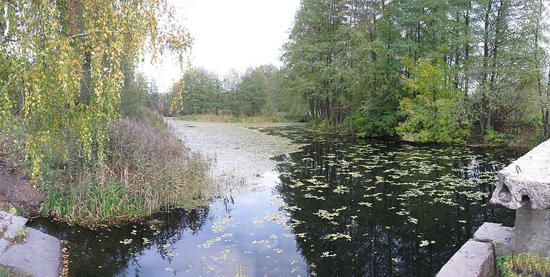 File:Водохранилище ВГБЗ - panoramio.jpg