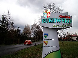 Bukowsko – Veduta