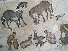 Shepherds with animals