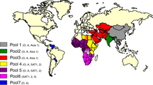 Distribution of seven pools of foot-and mouth disease viruses 13567 2013 Article 316 Fig2 HTML.webp