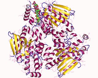 <span class="mw-page-title-main">Enoyl CoA isomerase</span>