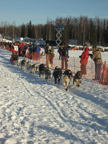 File:2008 Iditarod Willow (2312163219).jpg