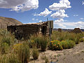 Miniatura para North Fork (Nevada)