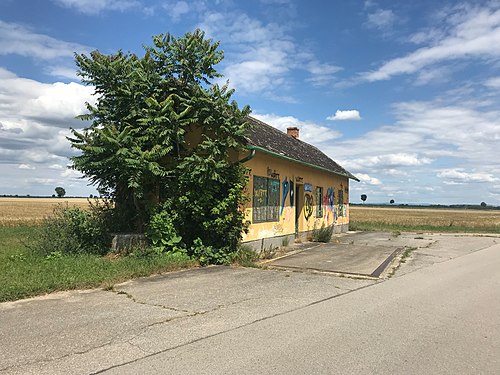 Juli Aufgelassener Rübenverladeplatz Bernhardsthal Ailura