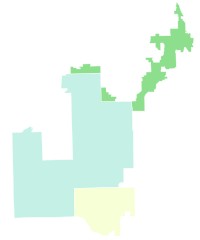 Results by county:
Jackson--30-40%
Norington-Reaves--20-30%
Collins--10-20% 2022 Illinois 1st district Democratic primary results map.svg