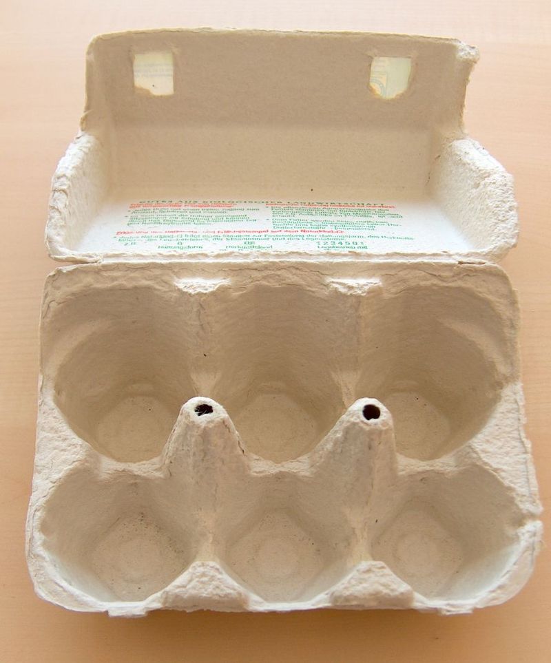 Caja de Huevos Cajas de Huevos 10 Piezas Hueveras de Carton Cajas para  Huevos para Huevos o Huevos de Pato : : Industria, empresas y  ciencia