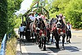 900 Jahre Stadtjubiläum Plauen 2H1A5298WI