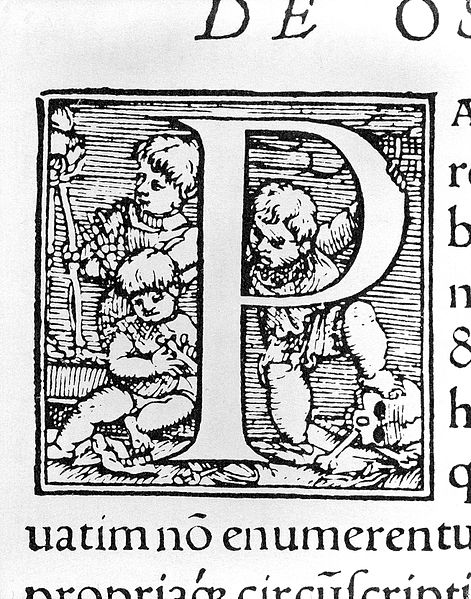 File:A. Vesalius, De humani corporis fabrica, 1543 Wellcome L0028556.jpg
