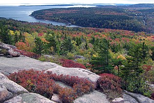 From Gorham Mountain toward Otter Cove