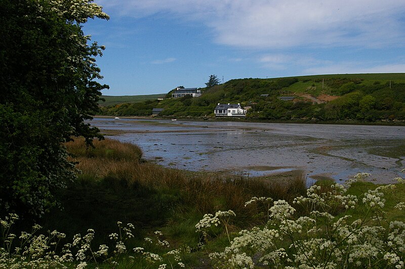 File:Afon Nyfer estuary, near Newport - geograph.org.uk - 5342942.jpg