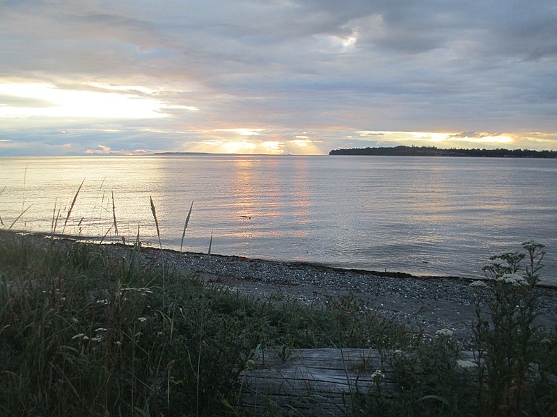 File:Along Birch Bay Drive (14375000077).jpg