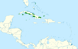 Amazona leucocephala map.svg