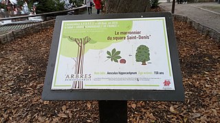 Amiens, Platz Saint-Denis 8.jpg