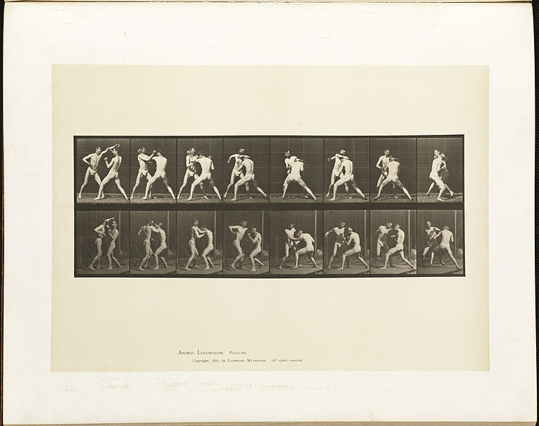 File:Animal locomotion. Plate 342 (Boston Public Library).jpg