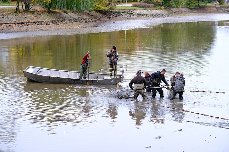 File:Anlagensee-winterung-fischen-6.jpg