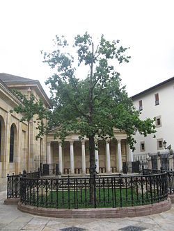 Guernický strom