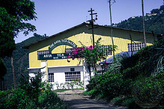 <span class="mw-page-title-main">Arya Tea Estate</span> Indian tea garden